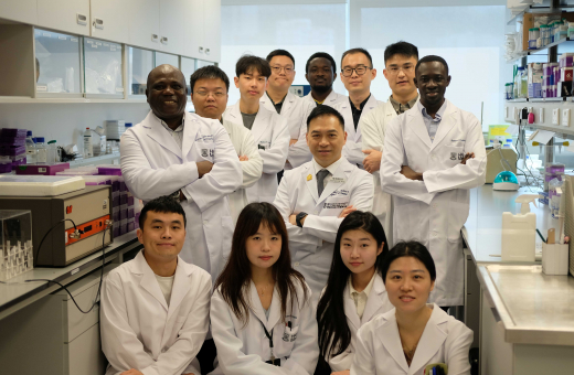 港大醫學院首創智能鈦金屬植入物塗層 迅速殺菌兼促進新骨生成融合